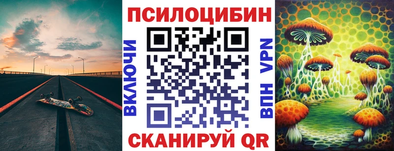 Галлюциногенные грибы Psilocybine cubensis  Дальнереченск 